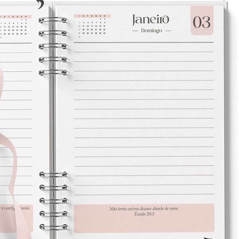 Agenda Feminina Miolo Rosa Datada 2027