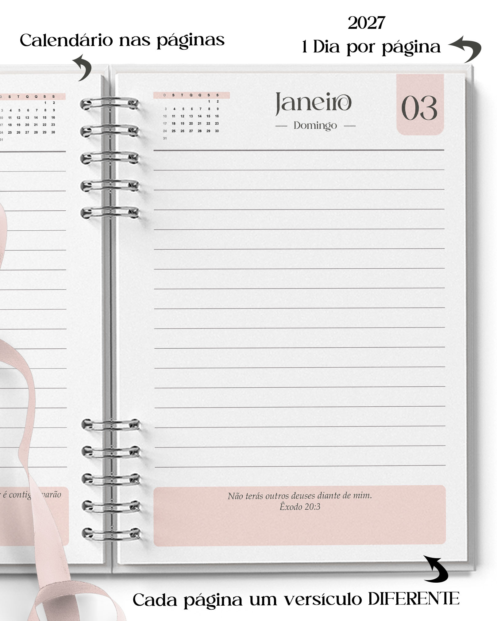 Agenda Feminina Miolo Rosa Datada 2027